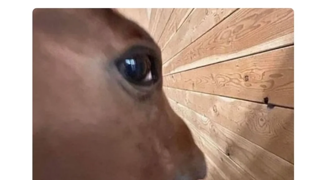 친구랑 내가 추천한 최애영화 같이 볼 때