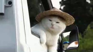 양덕의 낭만넘치는 RC비행기