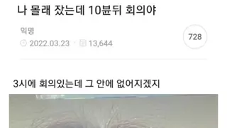 나 몰래 잤는데 10분 뒤 회의야