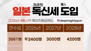 일본 독신세 도입