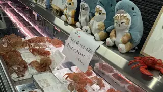 너무 싱싱한 해산물