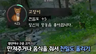 붉은사막) 먹이줘서 동물들과 친밀도 높이기