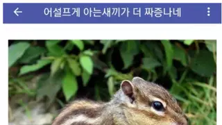어설프게 아는 ㅅㄲ가 더 짜증남