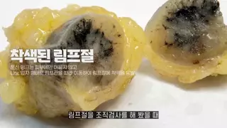 문신하면 안되는 이유