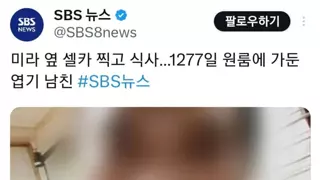 트위터 엽기 근황