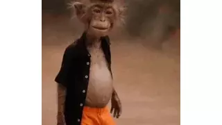 국회 본의회 표결 참석율 99.8% 1위 의원