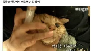 썸네일 이미지