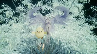 찬란한 사랑의 날개 드디어 겟