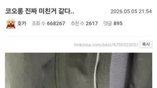 썸네일 이미지
