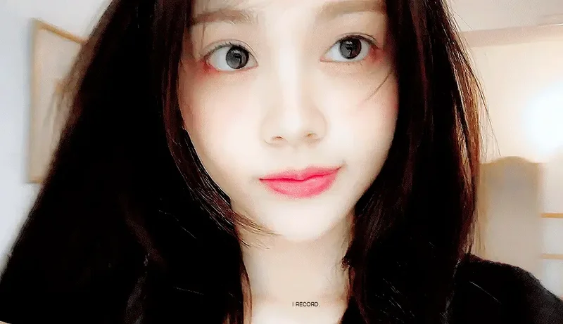 배너