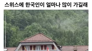 스위스에 한국인들 많이 감?