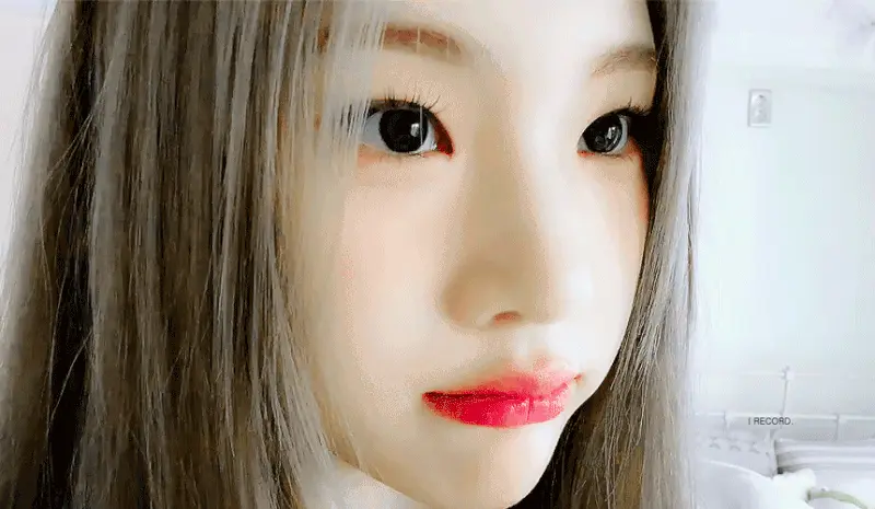 배너