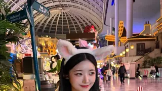 소리가 찰진 스핑크스 고양이 맞짱 ㅋㅋㅋㅋㅋ
