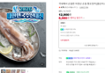 [오늘끝딜 8900원대]국내에서 손질한 자연산 손질 통오징어