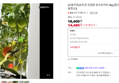 [오늘끝딜 1.4만][농할쿠폰]로토정 유럽종 완숙토마토 5kg [원산지:국산(경상북도 봉화군)]