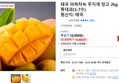 태국 마하차녹 무지개 망고 2kg 특대과(3-7수)