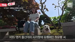“우리 캠핑장은 사유지라”…KBS 앵커 출신 유튜버, 안내견 거부당했다