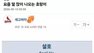 썸네일 이미지