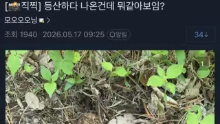 썸네일 이미지