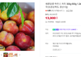 [오늘끝딜+슈퍼적립] 새콤달콤 하우스 자두 300g 600g 1.2kg [원산지:국산(경상북도 경산시)]
