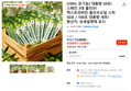 [100% 유기농] 대용량 50포! 스페인 3대 올리브! 엑스트라버진 올리브오일 스틱 50포 / 100포 대용량 세트!