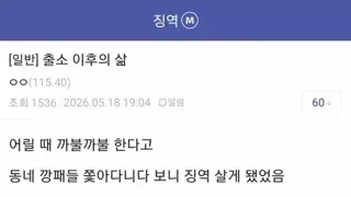 징역 후 출소 한 디시인의 삶