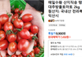 매일수확 산지직송 탱글탱글 대추방울토마토 2kg