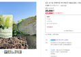 [오늘끝딜] 참든 유기농 양배추즙 바르게담아 100ml 30포, 1개 [원산지:국산]