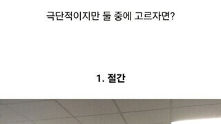 직딩인 오이갤러의 선택은?