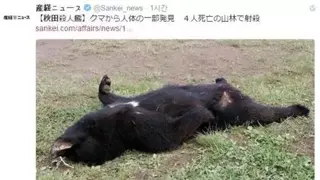 일본에서 사람 공격한 반달곰 사살