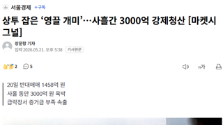 상투 잡은 ‘영끌 개미’…사흘간 3000억 강제청산 [마켓시그널]