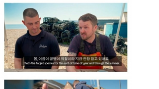 한국인들 이제 골뱅이도 포기하시오
