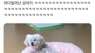 썸네일 이미지
