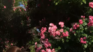 우아 우연