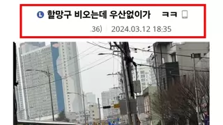 썸네일 이미지