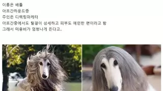 미용비 1700만원