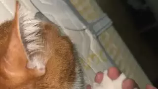 썸네일 이미지