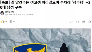 길 알려주는 여고생 따라걸으며 수차례 ‘성추행’…20대 남성 구속