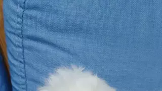 ㅇㅈ