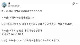 썸네일 이미지