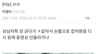극혐 티눈갤 새로운 미친놈