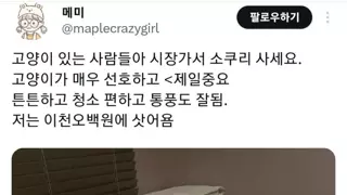 썸네일 이미지