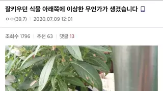 썸네일 이미지