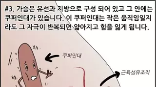 가슴이 쳐지는 이유