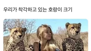 썸네일 이미지