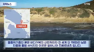이방카 트럼프 때문에 빡친 알바니아 국민들