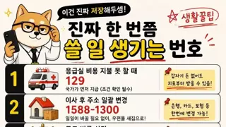 썸네일 이미지