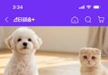 강아지 고양이간식 대용량 순살 닭가슴살 22g x 100개입