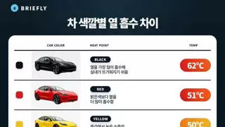 차 색깔별 열 흡수 차이