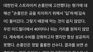 체코 감독- 손흥민 막기 쉽지 않았다 정말 훌륭한 선수